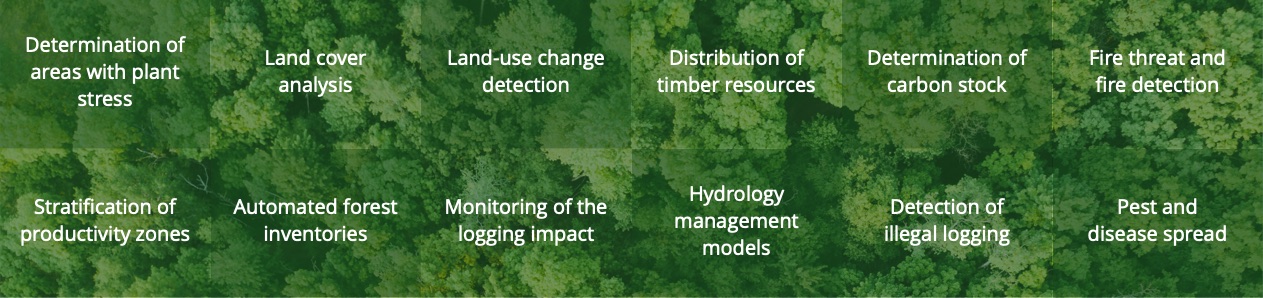 Precision Forestry Applications