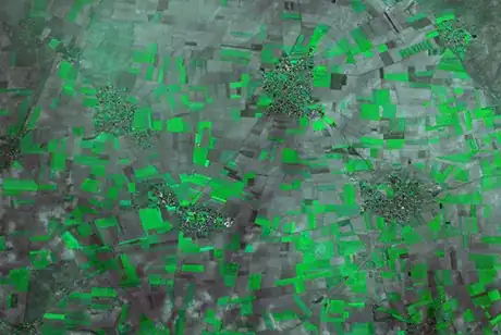 Image-Processing-Tool-application-precision-agriculture