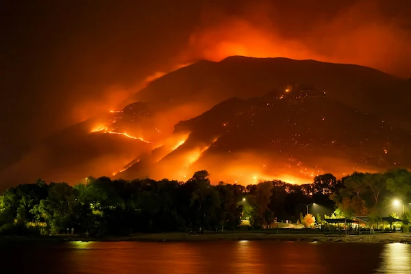 homepage-disaster-response